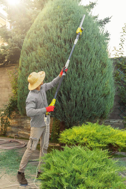 Professional Tree Services in Weaver, AL